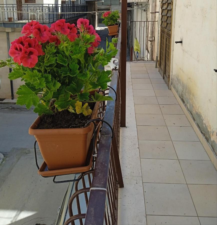 B&B La Casa Dell'Ospite Gravina in Puglia Ngoại thất bức ảnh
